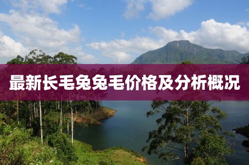 最新长毛兔兔毛价格及分析概况
