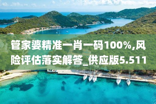 管家婆精准一肖一码100%,风险评估落实解答_供应版5.511