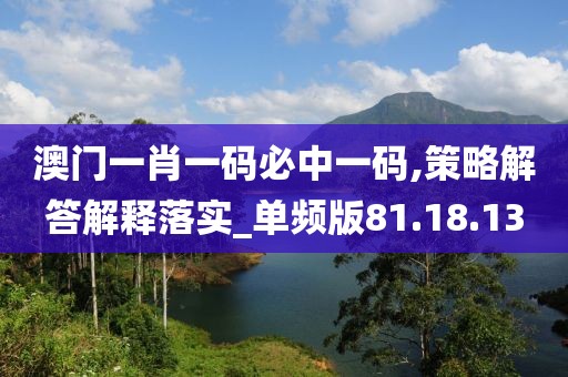 澳门一肖一码必中一码,策略解答解释落实_单频版81.18.13