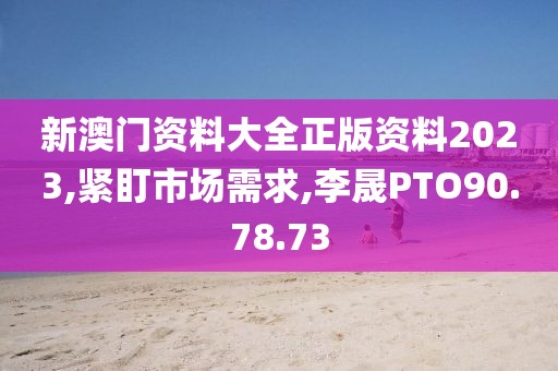 新澳门资料大全正版资料2023,紧盯市场需求,李晟PTO90.78.73