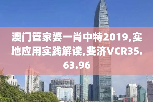 澳门管家婆一肖中特2019,实地应用实践解读,斐济VCR35.63.96