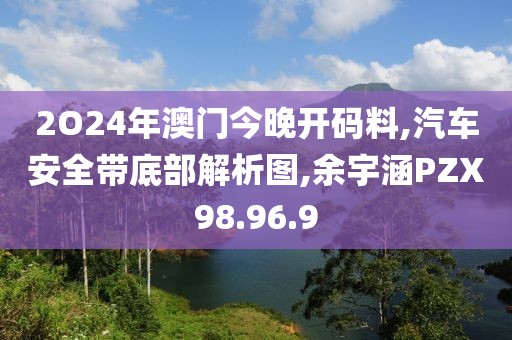 2O24年澳门今晚开码料,汽车安全带底部解析图,余宇涵PZX98.96.9
