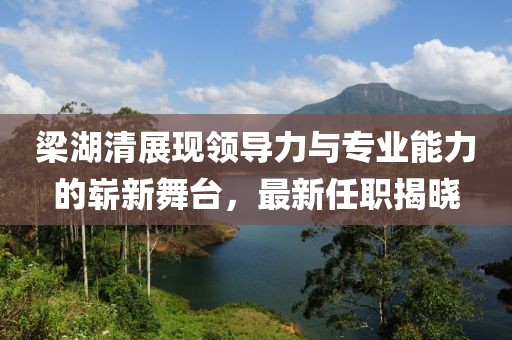 梁湖清展现领导力与专业能力的崭新舞台，最新任职揭晓