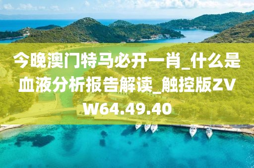 今晚澳门特马必开一肖_什么是血液分析报告解读_触控版ZVW64.49.40