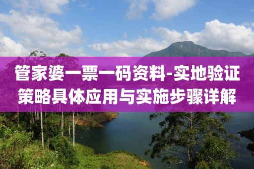 管家婆一票一码资料-实地验证策略具体应用与实施步骤详解