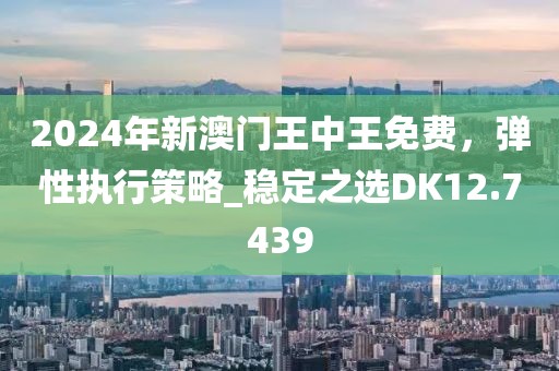 2024年新澳门王中王免费，弹性执行策略_稳定之选DK12.7439