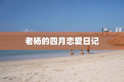 老杨的四月恋爱日记