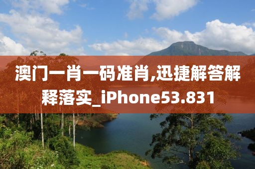 澳门一肖一码准肖,迅捷解答解释落实_iPhone53.831