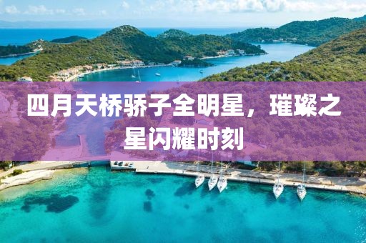 四月天桥骄子全明星，璀璨之星闪耀时刻