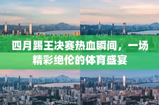 四月踢王决赛热血瞬间，一场精彩绝伦的体育盛宴