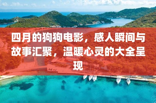 四月的狗狗电影，感人瞬间与故事汇聚，温暖心灵的大全呈现