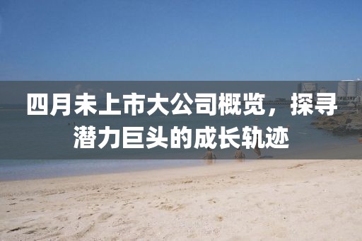 四月未上市大公司概览，探寻潜力巨头的成长轨迹