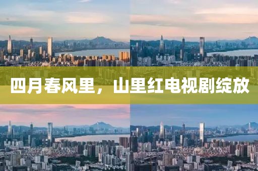 四月春风里，山里红电视剧绽放