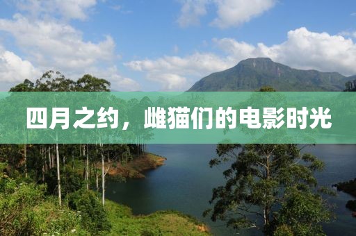 四月之约，雌猫们的电影时光