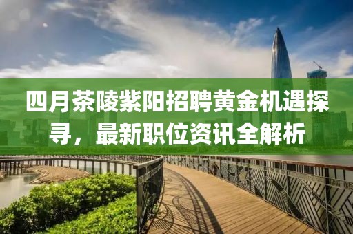 四月茶陵紫阳招聘黄金机遇探寻，最新职位资讯全解析