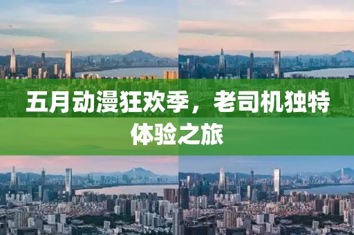 五月动漫狂欢季，老司机独特体验之旅
