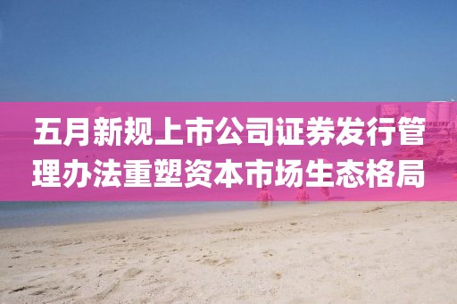 2025年5月11日 第5页