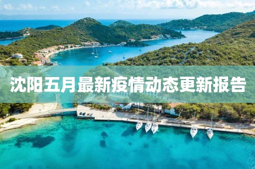 沈阳五月最新疫情动态更新报告