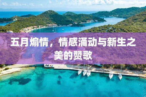 五月煽情，情感涌动与新生之美的赞歌