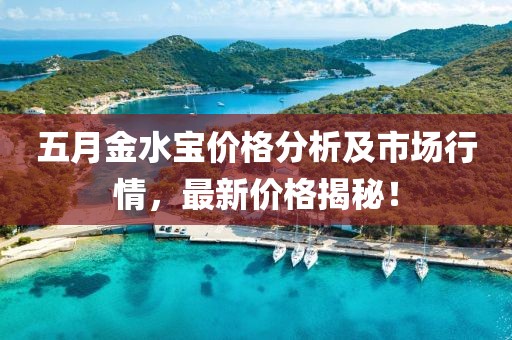 五月金水宝价格分析及市场行情，最新价格揭秘！
