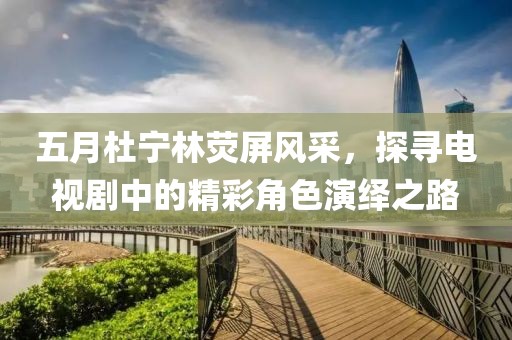 五月杜宁林荧屏风采，探寻电视剧中的精彩角色演绎之路