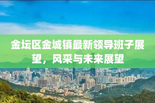 金坛区金城镇最新领导班子展望，风采与未来展望