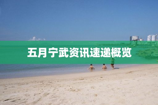 五月宁武资讯速递概览