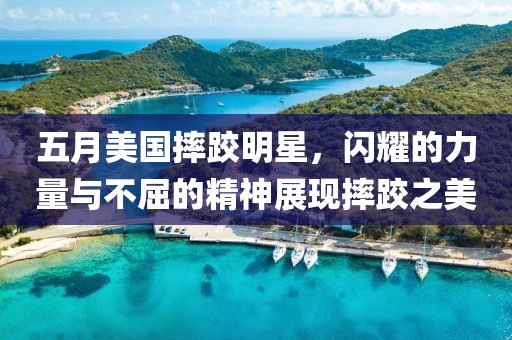 五月美国摔跤明星，闪耀的力量与不屈的精神展现摔跤之美
