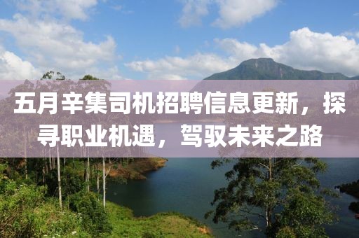 五月辛集司机招聘信息更新，探寻职业机遇，驾驭未来之路