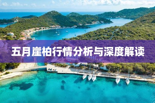 五月崖柏行情分析与深度解读