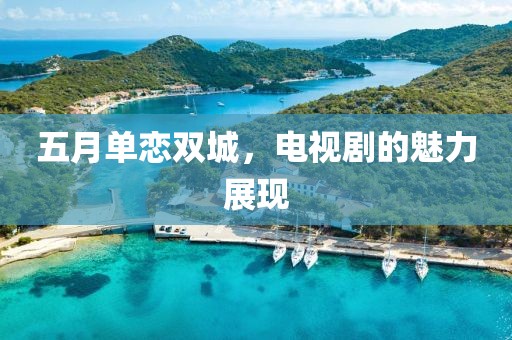 五月单恋双城，电视剧的魅力展现