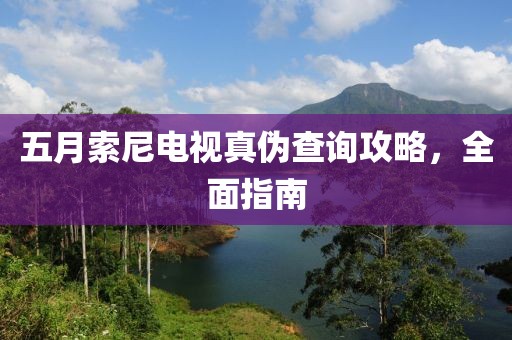 五月索尼电视真伪查询攻略，全面指南