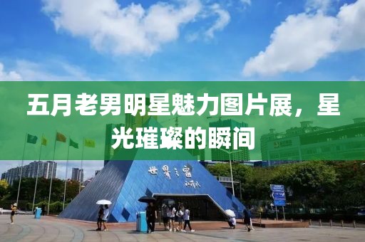 五月老男明星魅力图片展，星光璀璨的瞬间
