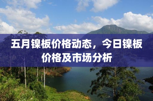 五月镍板价格动态，今日镍板价格及市场分析
