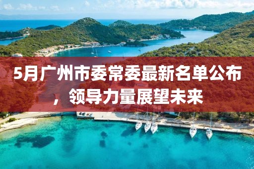 5月广州市委常委最新名单公布，领导力量展望未来