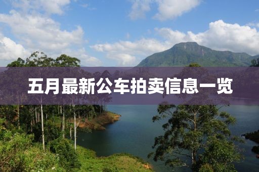 五月最新公车拍卖信息一览