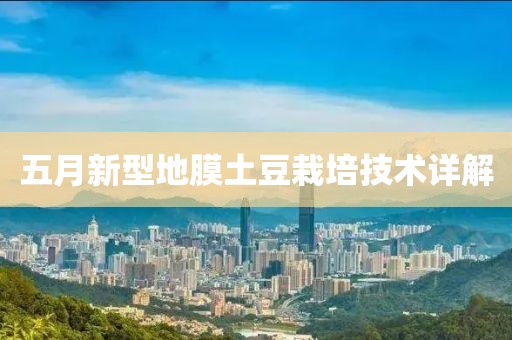 五月新型地膜土豆栽培技术详解