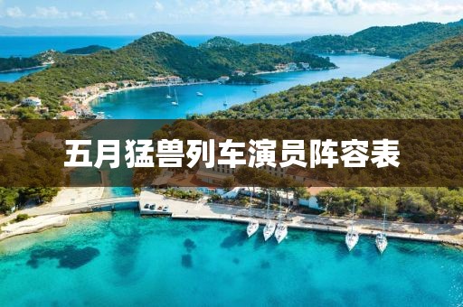 五月猛兽列车演员阵容表