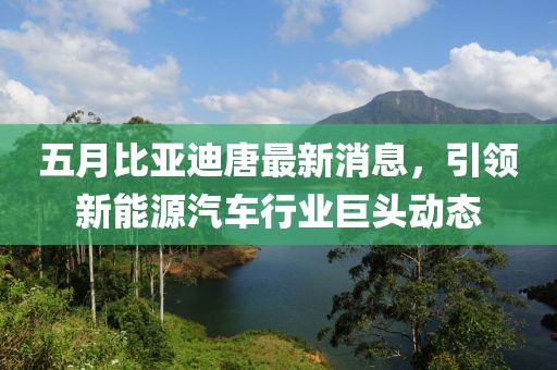 五月比亚迪唐最新消息，引领新能源汽车行业巨头动态