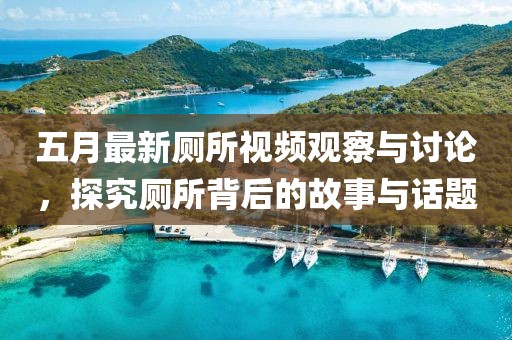 五月最新厕所视频观察与讨论，探究厕所背后的故事与话题