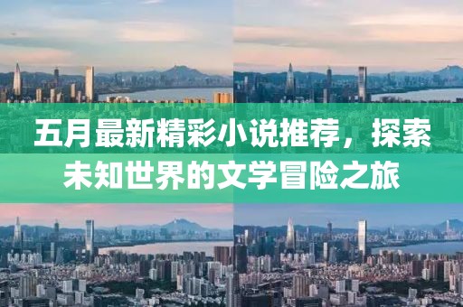 五月最新精彩小说推荐，探索未知世界的文学冒险之旅