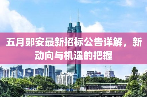 五月郧安最新招标公告详解，新动向与机遇的把握