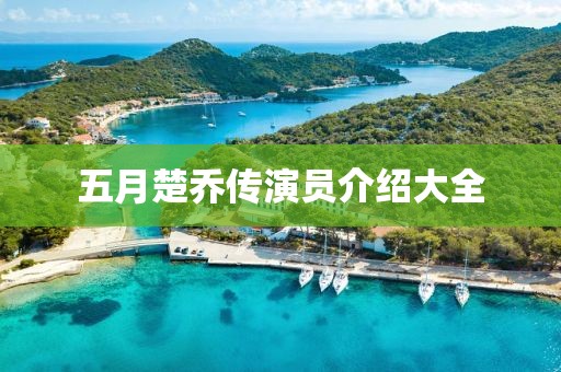 五月楚乔传演员介绍大全