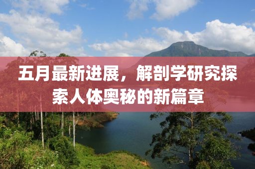 五月最新进展，解剖学研究探索人体奥秘的新篇章