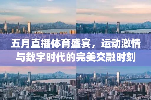 五月直播体育盛宴，运动激情与数字时代的完美交融时刻