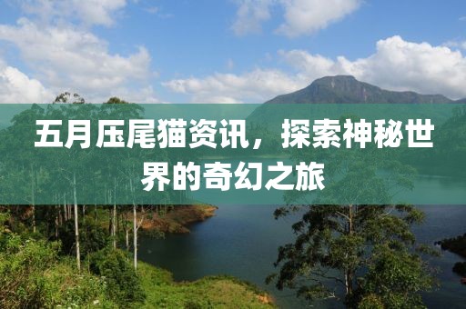 五月压尾猫资讯，探索神秘世界的奇幻之旅