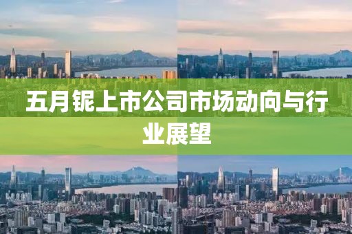 五月铌上市公司市场动向与行业展望