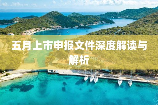 五月上市申报文件深度解读与解析