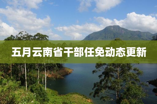 五月云南省干部任免动态更新