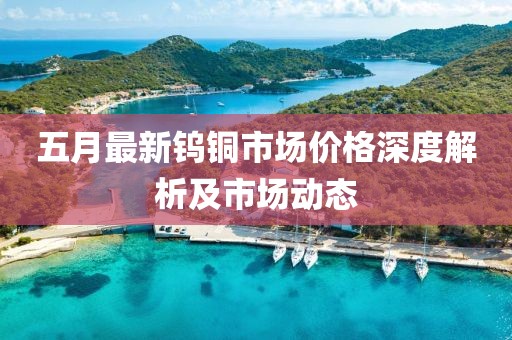 五月最新钨铜市场价格深度解析及市场动态